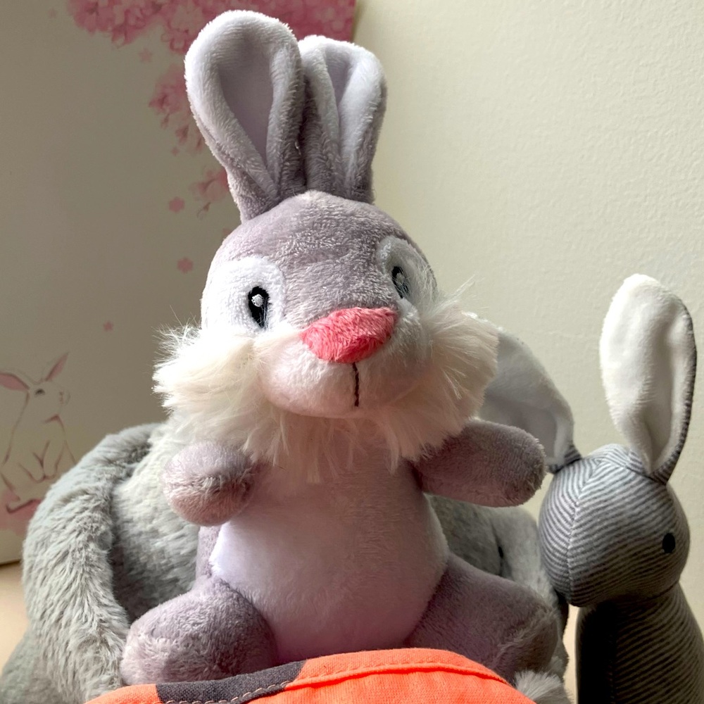 Bunny Basket with Easter Goodies. - Picture 8 of 9